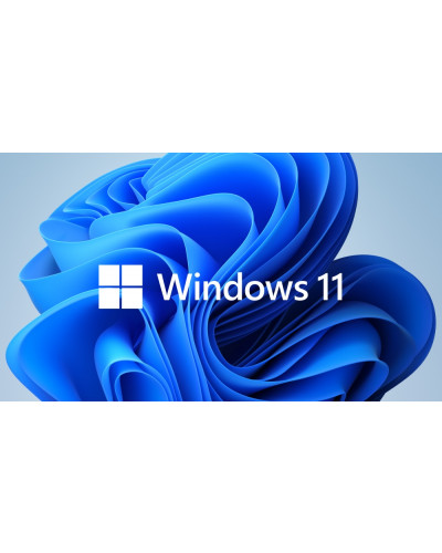 Програмен продукт с лицензен стикер Microsoft Windows 11 Home 64Bit Eng Intl 1pk DSP OEI DVD