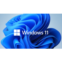 Програмен продукт с лицензен стикер Microsoft Windows 11 Pro 64Bit Bulgarian 1pk DSP OEI DVD
