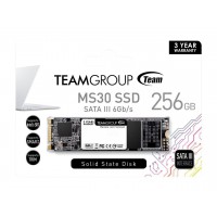 Твърд диск SSD Team Group MS30 256GB M.2 2280 SATA III read/write up to 550/470MB/s